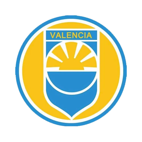Club Valencia Academy